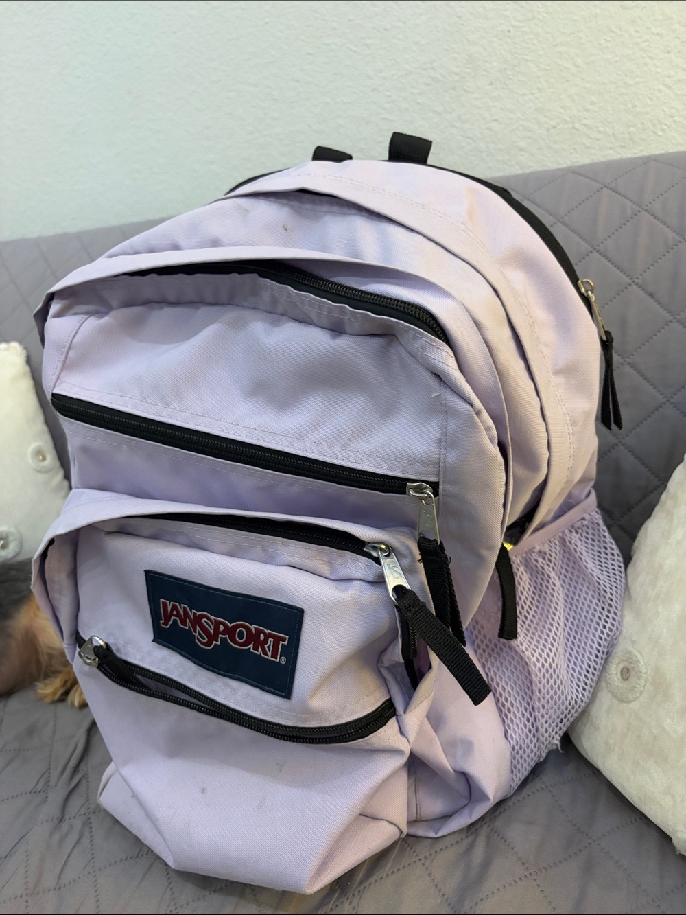 Jansport Lavender Men's Backpack with Multiple Pockets